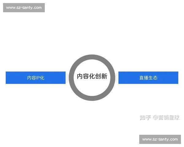 全面解析体育赛事组织管理模式与高效运营策略研究
