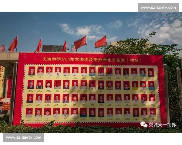 篮球职业发展体系全景解析与未来发展趋势研究 篮球职业发展体系全景解析与未来发展趋势研究